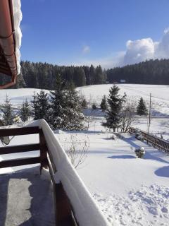 Mountain resort house - Planinska vikendica - 1