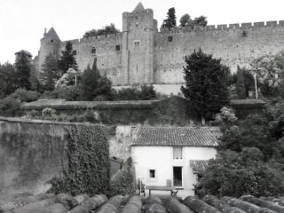 Le Petit Chai niché sous la Cité, - Carcassonne - 3