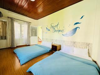 Home Thỏ Vân Anh - 4