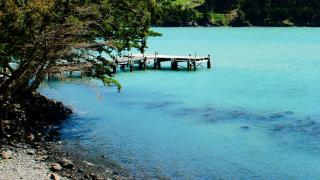 Annandale Coastal Farm Escape & Luxury Villa Collection - 4