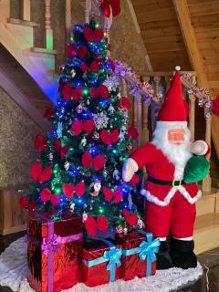 Gabala Nohur AFrame A2 - Gabala - 3