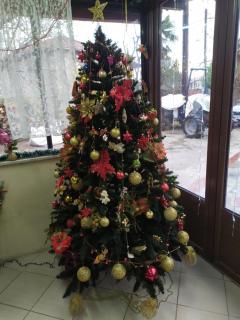 ΣΕΤΣΚΟΣ ΖΗΣΗΣ - 5