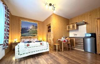 Apartament 2 osobowy - Wesoła Chatka - Krupówki 37b - CENTRUM - Zakopane - 9