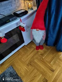 Apartman Safir - Vrnjačka Banja - 9