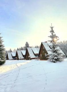 Domki Bieszczady Siedlisko Harenda - Czarna - 6