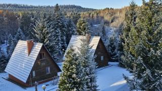 Domki Bieszczady Siedlisko Harenda - Czarna - 9