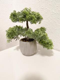 NAMI - ROBIN - Helle Apartments mitten in der Stadt - 1