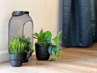 Trendy 2BR Near Hollywood Hotspots - BR9 - 1