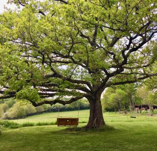 Domaine Le Rianon - Malleret-Boussac - 2
