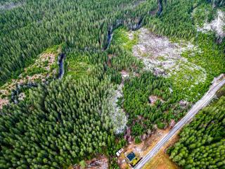 Ferienhaus am Wald im Land der Elche - Torsby - 4