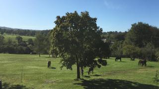 Domaine Le Rianon - Malleret-Boussac - 3