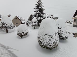 Ubytování u Boženky - Deštné v Orlických horách - 7