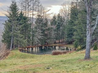 Maplewood Manor 8BR, Hot Tub, Gym, Fire Pit - Jewett - 9
