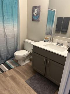 Modern Vibes 1br/1ba Oak Park IL - Oak Park - 2