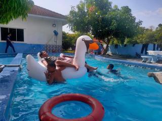 PD Best Homestay - 8