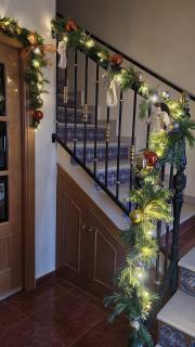 Las Golondrinas de Henche - 1