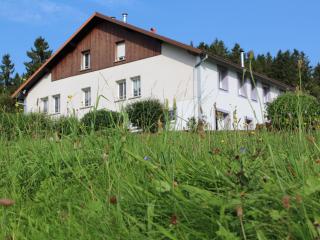 Gîte à Gérardmer - Proche lac et pistes, Chem cheminée, 2 chambres - FR-1-589-108 - 4
