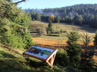 Gîte à Gérardmer - Proche lac et pistes, Chem cheminée, 2 chambres - FR-1-589-108 - 1