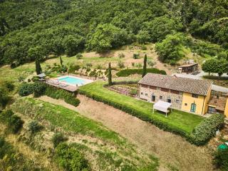 Spacious apartment in villa with pool - Cavriglia - 9