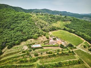 Farmhouse in Chianti with Pool and Garden - 1