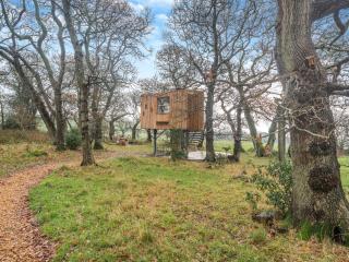 The Treehouse Caerlaverock - Uk45028 - Carsethorn - 5