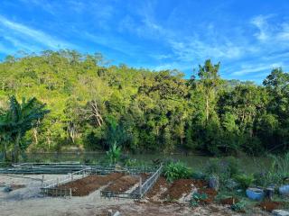 COI NGUON FARM GLAM Mang Den - 0