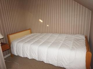 Duplex lumineux 3 chambres, terrasse, parking, à deux pas de la plage de Cabourg - FR-1-465-103 - 1