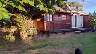 les lys plaine des cafres - Le Tampon - 6