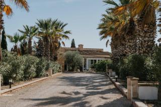 Casa de Ensueno Sleeps 8 with Pool - 9