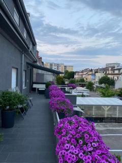 Günstiges Privatzimmer - Lörrach - 2