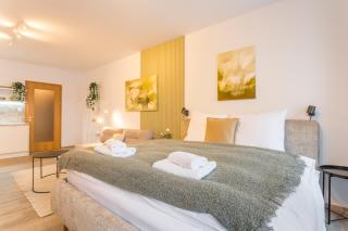 Abertamy Platz Apartments - Abertamy - 1