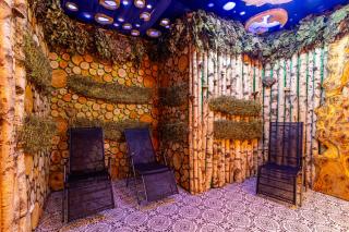 Konopka Forest Home & SPA - 1