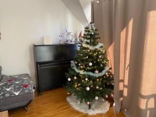 Apartmán Juli - Tatranská Lomnica - 9