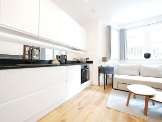 Newly refurbished 2 Bed apartment in Paddington - Londra - 5