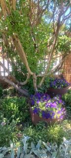 Coco's Hamlet Self Catering Accommodation - Prince Alfred Hamlet - 9