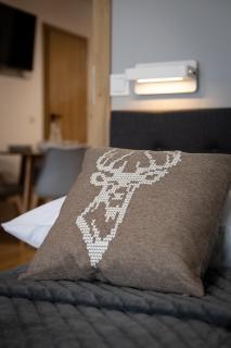 Gold Apartments Cicha 12 - Centrum - Dwie sypialnie i parking - Krynica-Zdrój - 9