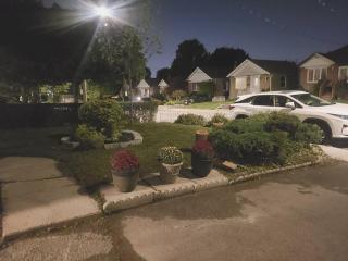 2 bedroom + Bath in Eastyork - Toronto - 2