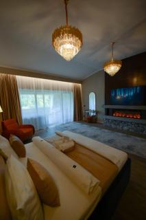 Elexus Apartments Poiana Brasov - Poiana Brașov - 1