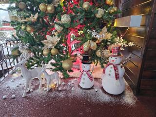 Vila Predeal Holidays - 2