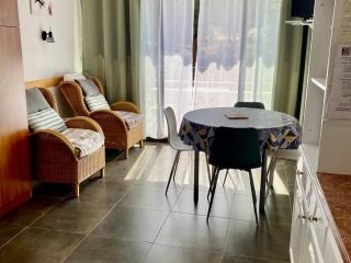 Studio cosy 24 m² avec balcon, proche cures et centre-ville, animaux bienvenus ! - FR-1-703-109 - Amélie-les-Bains-Palalda - 2