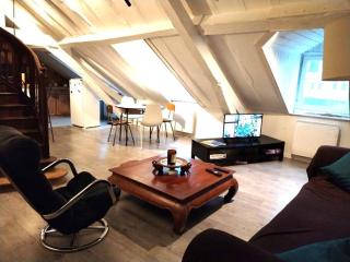 Au Château Perché ~ Hypercentre ~ Vue Château - Pau - 5