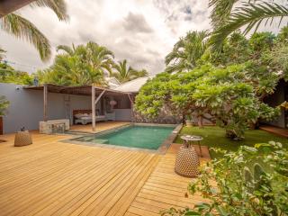 la kaz veloutier - villa 4 chambres avec piscine - La Saline-Les-Bains - 8