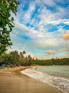 Lazy Monkey Surfhostel - Sri Lanka - Hiriketiya - 2