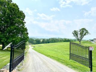 Brand new built! Pond, kayaks, hot tub,fire pit,grill… - Asheville - 7
