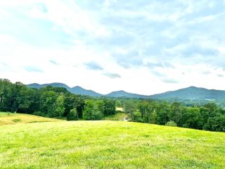 Brand new built! Pond, kayaks, hot tub,fire pit,grill… - Asheville - 5