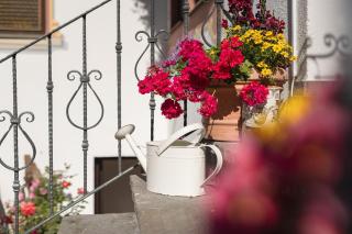 Pension Gulla - Ferienhaus Appartements B&B - Neustift im Stubaital - 5