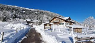 Haflingerhof - Oberjoch - Bad Hindelang - 9