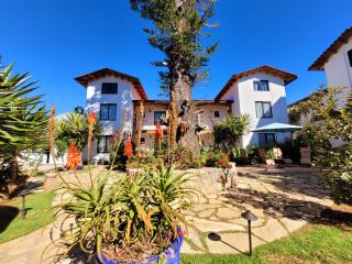 Departamento Valdivia - San Cristóbal de Las Casas - 8