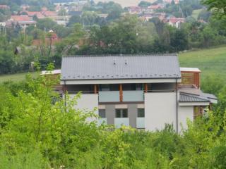 Apartmán Bohemia - 5