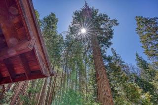 A-Frame Cabin in The Sequoias - Wofford Heights - 2